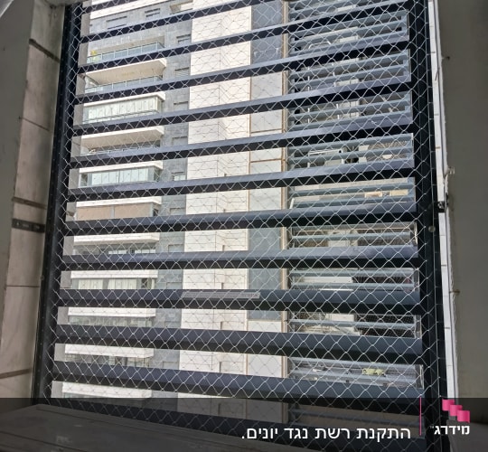 רשת למניעת כניסת יונים על חלון בניין
